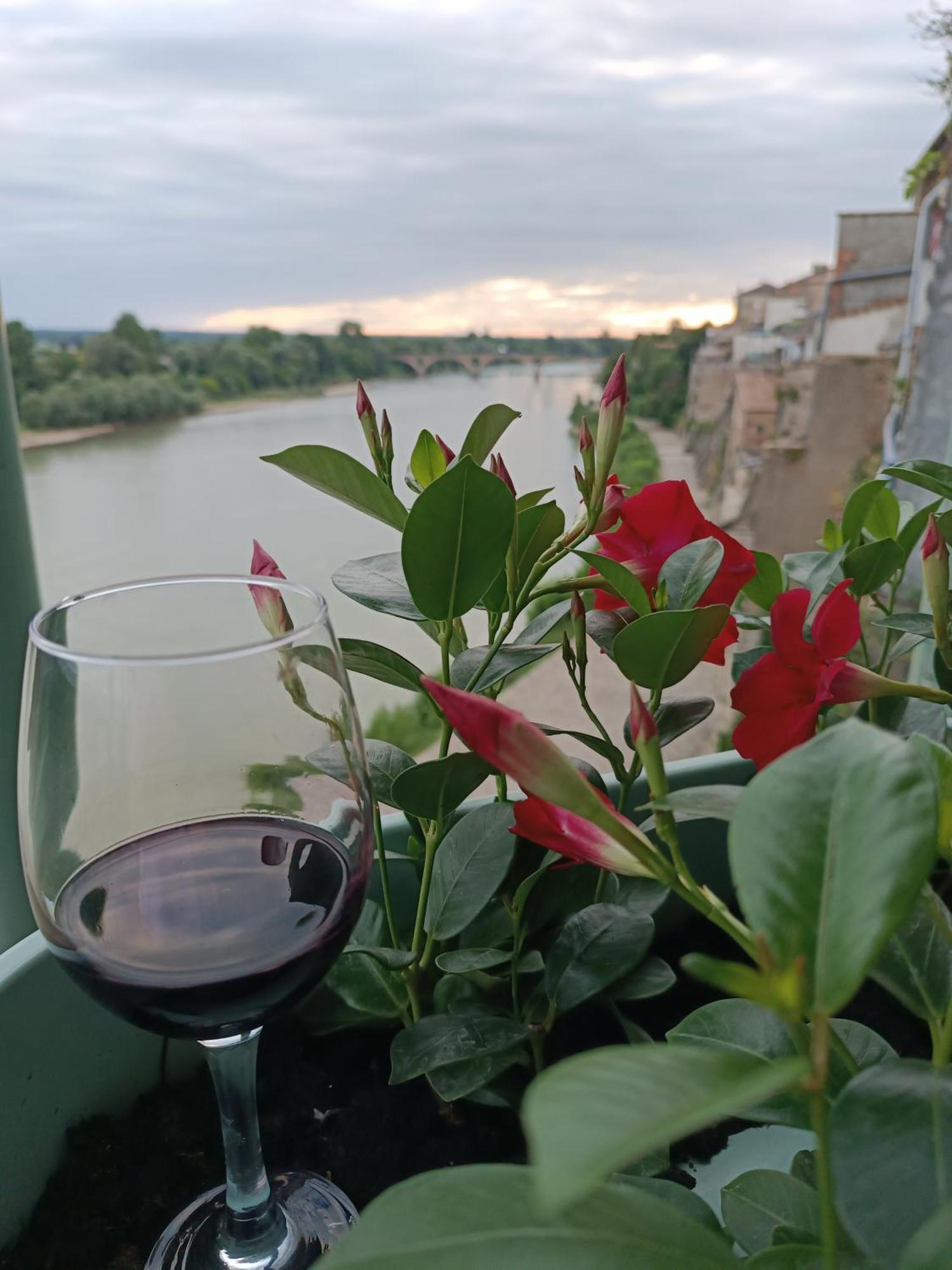 Cote Garonne Le Balcon Des Dames -Hotel Et Restaurant- Tonneins Fauillet Marmande - Vue Panoramique Bord De Garonne Chambres Climatisees Tonneins